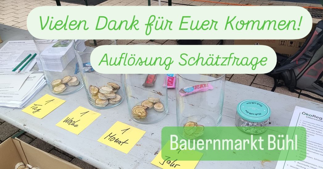 459556598_2945752312255056_1919898827245786436_n